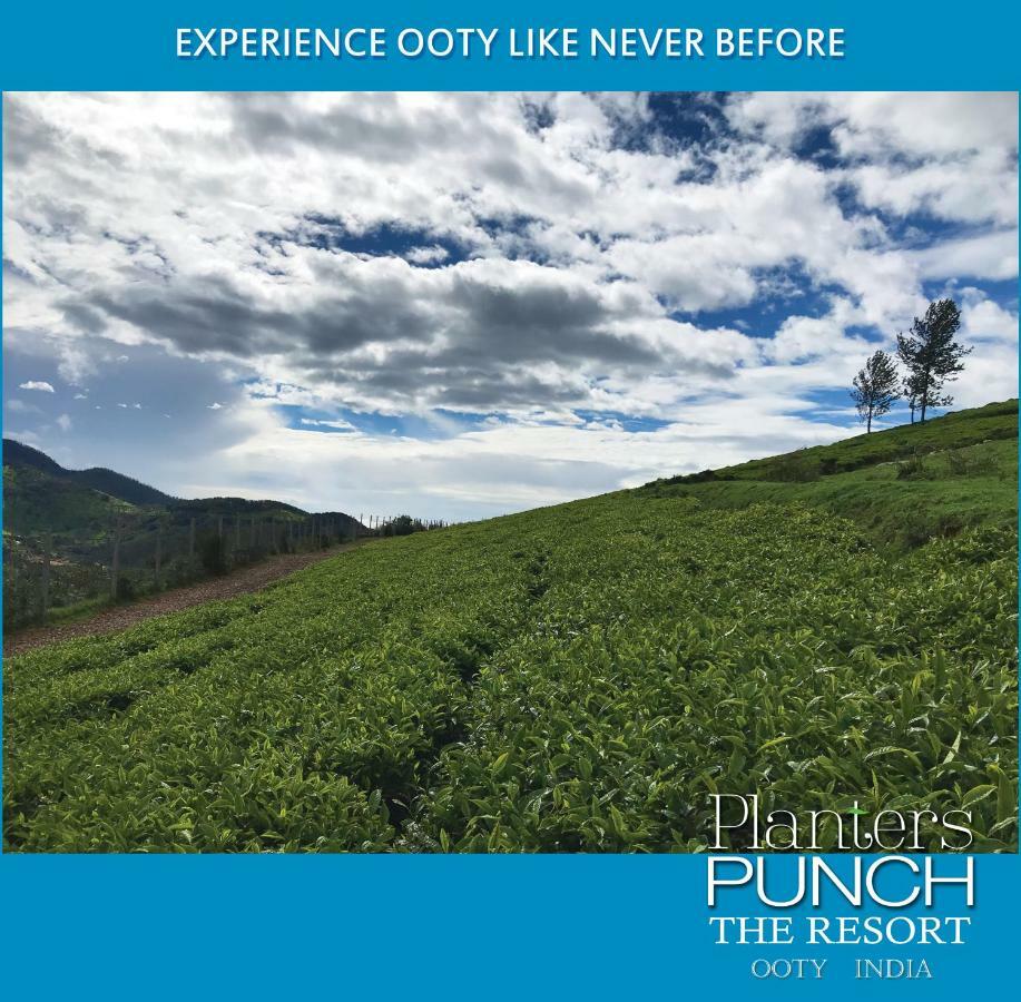 Planters Punch Vila Ooty Exterior foto
