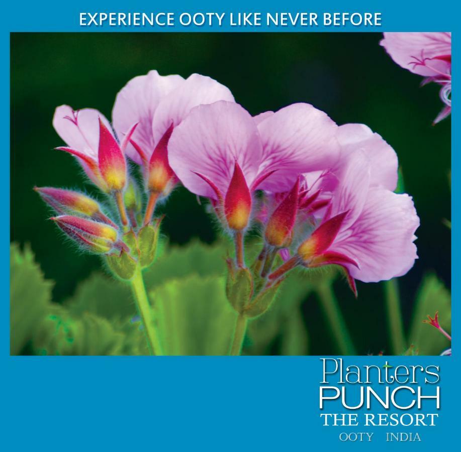 Planters Punch Vila Ooty Exterior foto